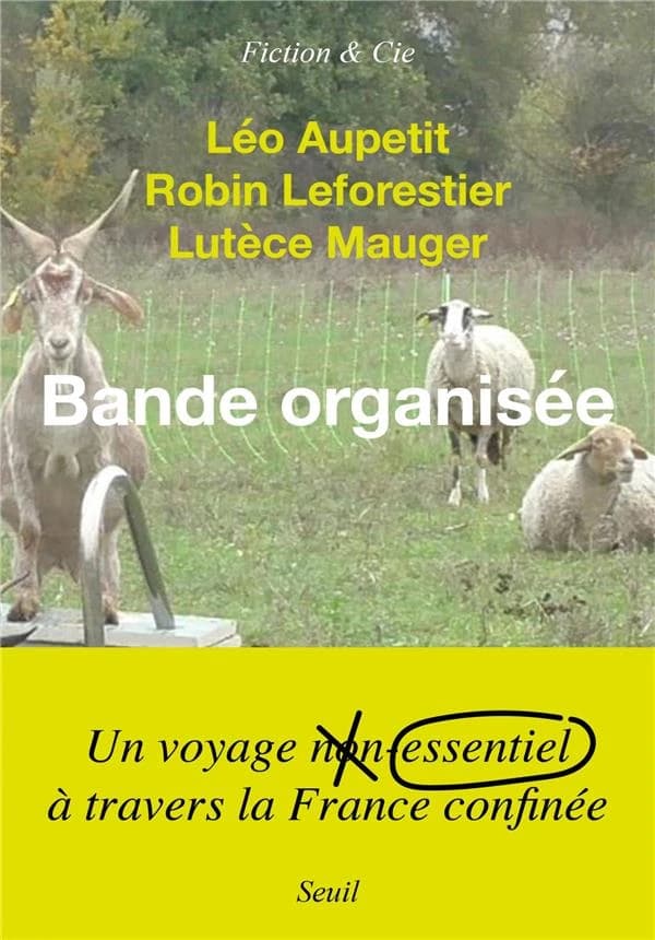 Bande organisée : récit