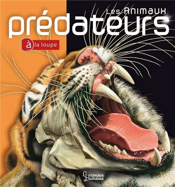 Les animaux prédateurs ([Nouvelle éd.]) John Seidensticker et Susan Lumpkin