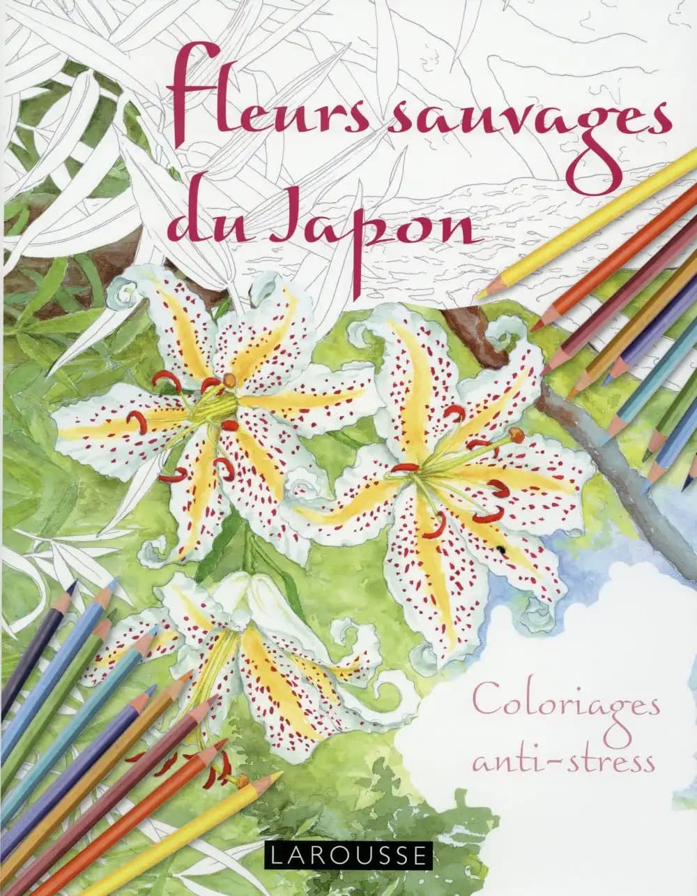 Fleurs sauvages du Japon : coloriages anti-stress : [album de photographies]