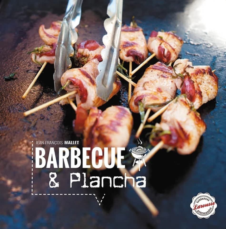 BARBECUES ET PLANCHAS