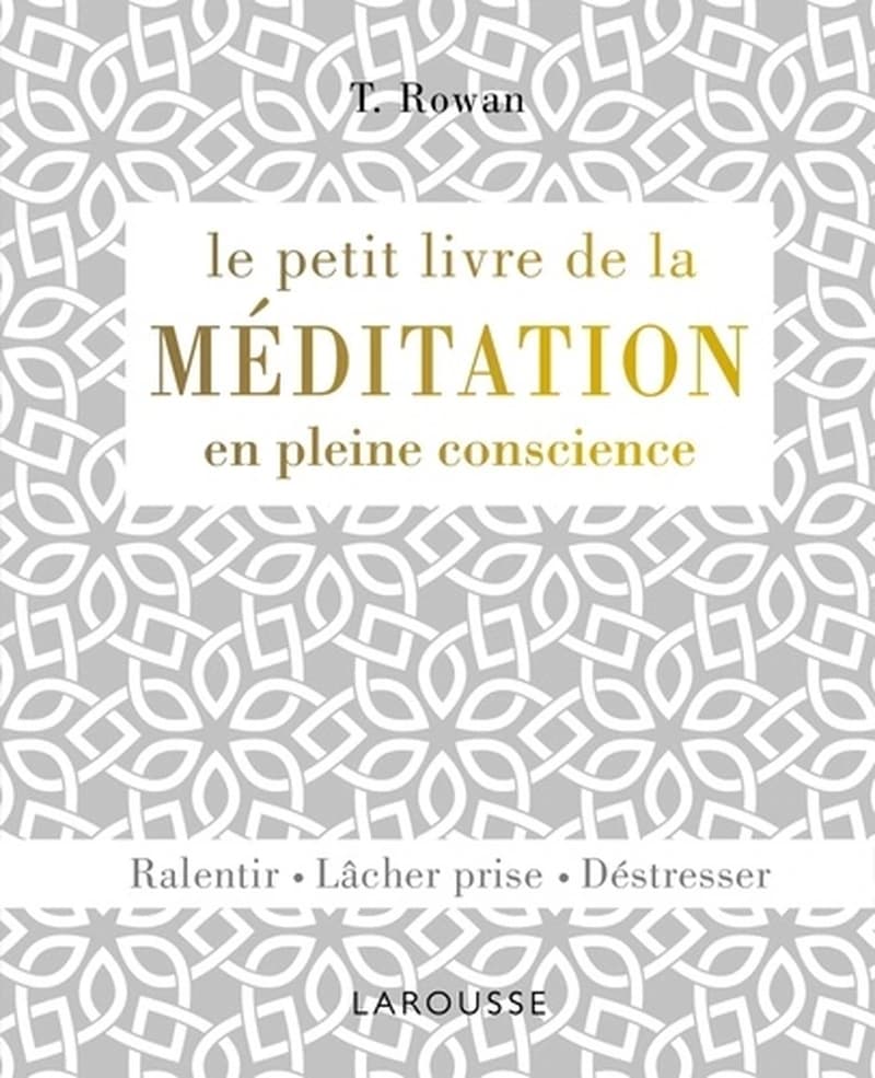 LE PETIT LIVRE DE LA MEDITATION EN PLEINE CONSCIENCE