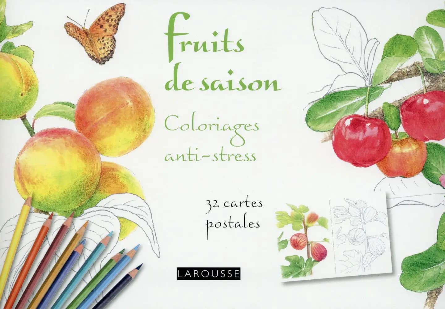 Fruits de saison : Coloriages anti-stress : [Album à colorier]