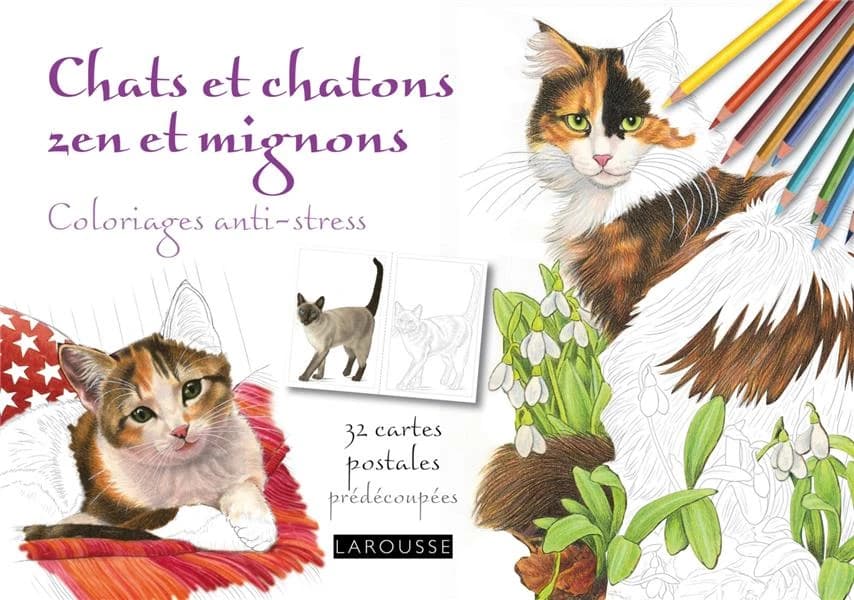 Chats et chatons zen et mignons : coloriages anti-stress : [album à colorier]
