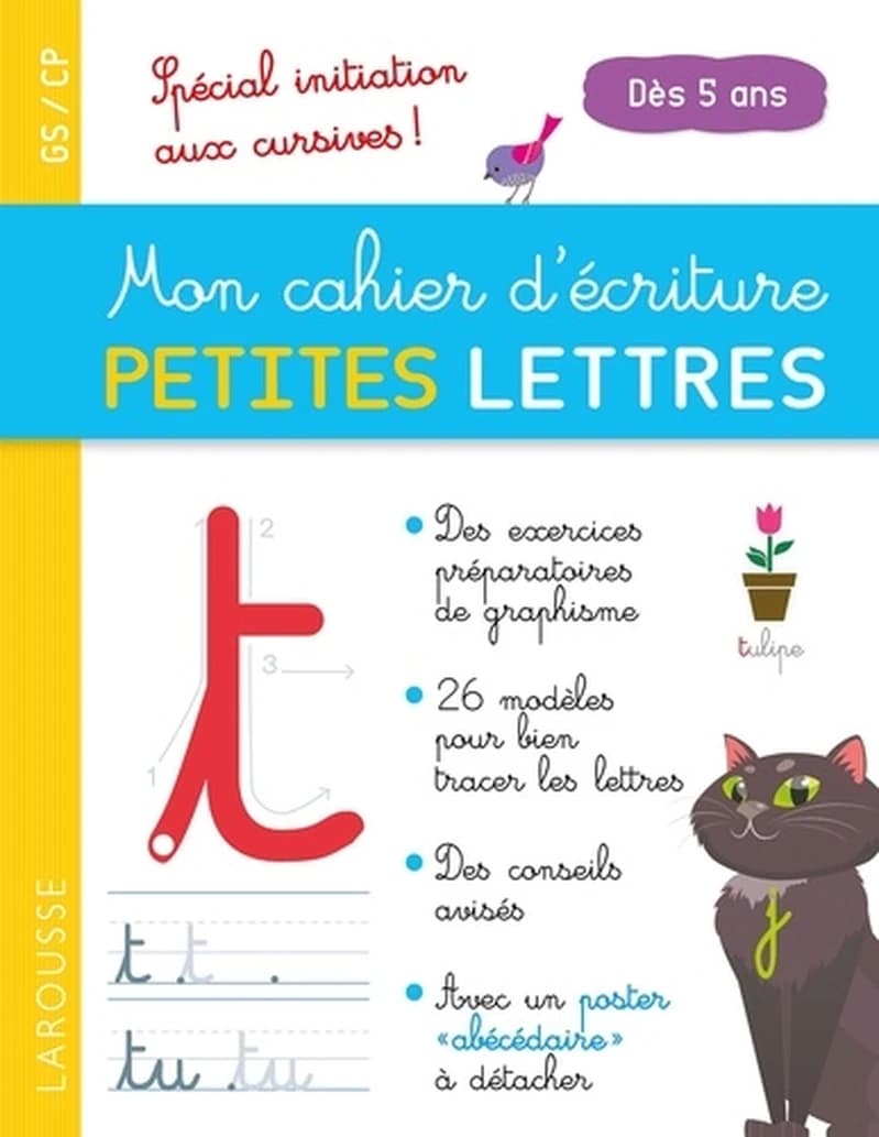Mon cahier d'écriture petites lettres ; dès 5 ans