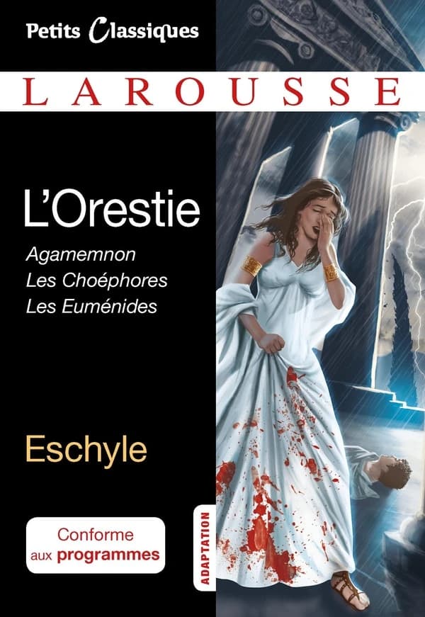 L'Orestie : adaptation