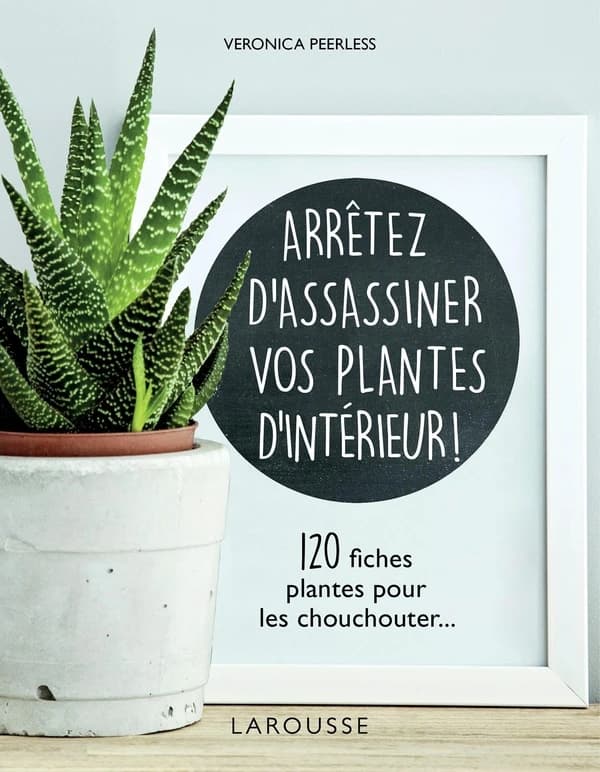 Arrêtez d'assassiner vos plantes d'intérieur : 120 fiches plantes pour les chouchouter