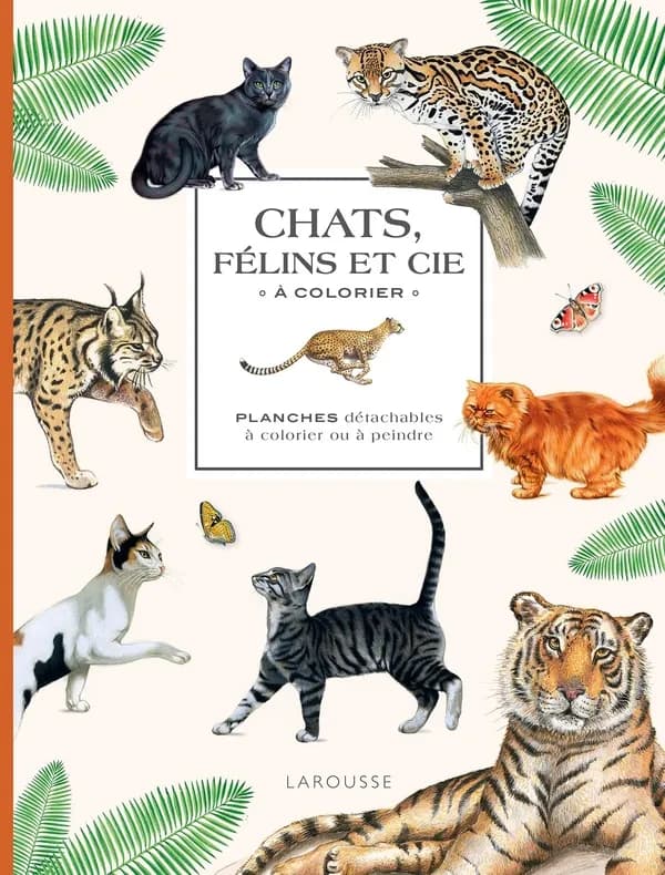 Chats, félins et cie à colorier : planches détachables à colorier ou à peindre : [Album à colorier]