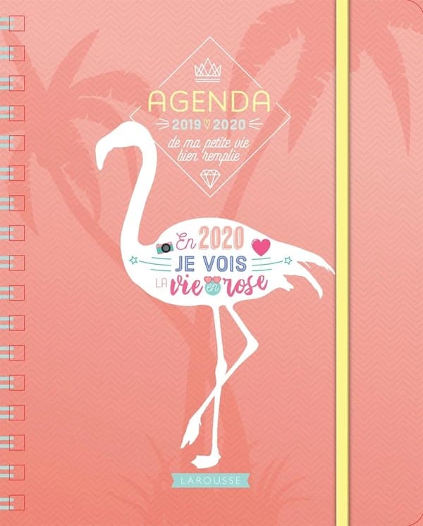 Agenda ma petite vie bien remplie ; en 2020, je suis organisée et créative ! (édition 2019