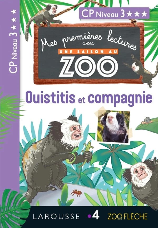Ouistitis et compagnie