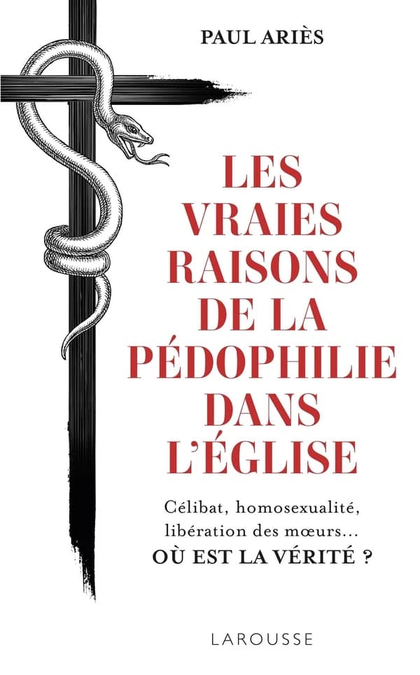 Les vraies raisons de la pédophilie dans l'Église : essai