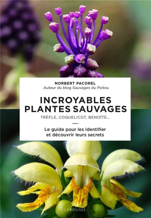 Incroyables plantes sauvages : trèfle, coquelicot, benoîte : le guide pour les identifier et découvrir leurs secrets