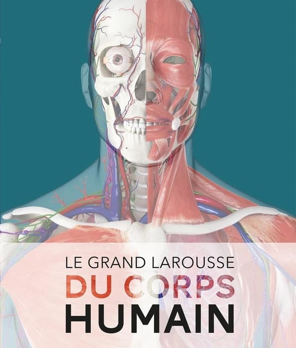 Le grand Larousse du corps humain (Nouvelle éd.) Steve Parker ; avant-propos, Pr Jean-Pierre Wainsten