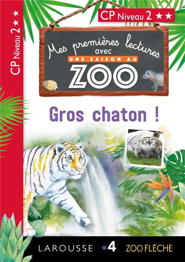 Gros chaton