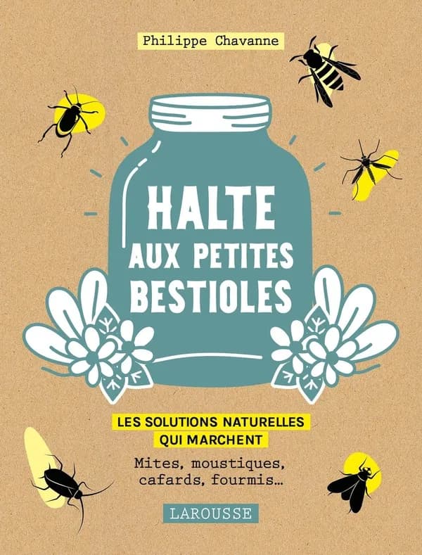 Halte aux petites bestioles : les solutions naturelles qui marchent