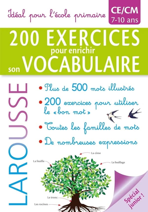 200 exercices pour enrichir son vocabulaire ; CE
