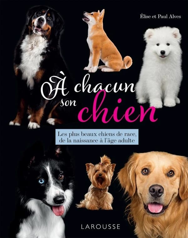 À chacun son chien : les plus beaux chiens de race, de la naissance à l'âge adulte