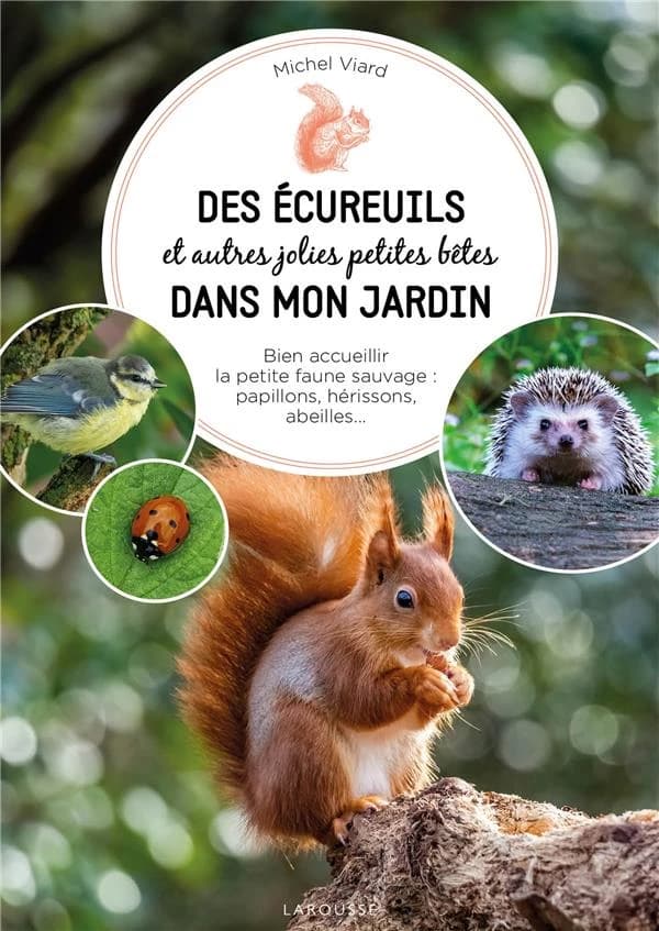 Des écureuils et autres jolies petites bêtes dans mon jardin : bien accueillir la petite faune sauvage...
