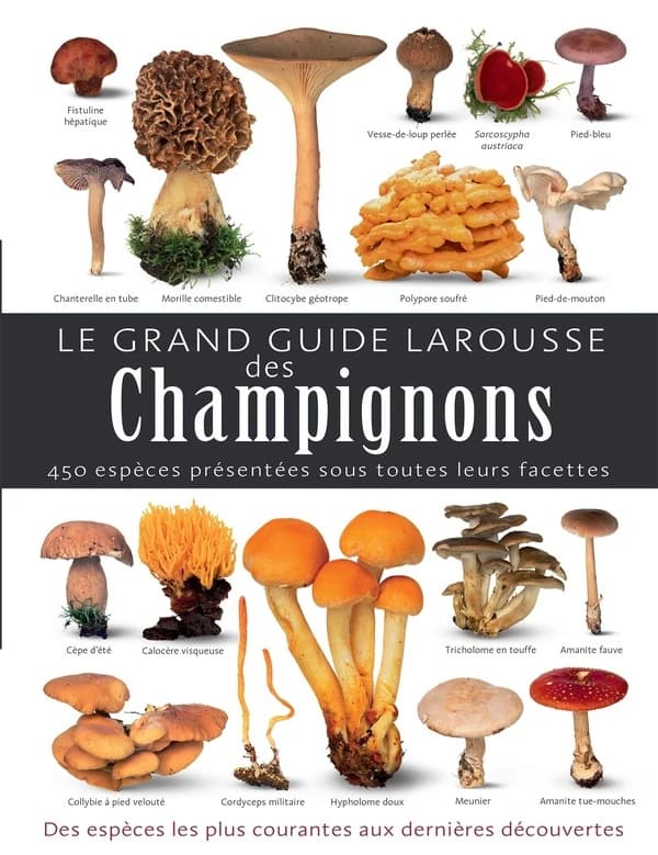 Le grand guide Larousse des champignons ([Nouvelle éd.]) Thomas Laessøe