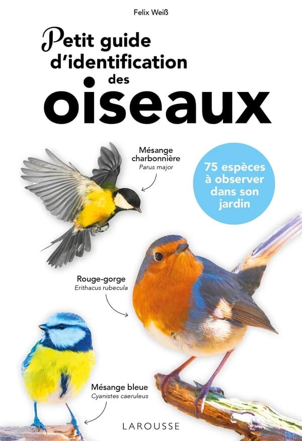 Petit guide d'identification des oiseaux : 75 espèces à observer dans son jardin