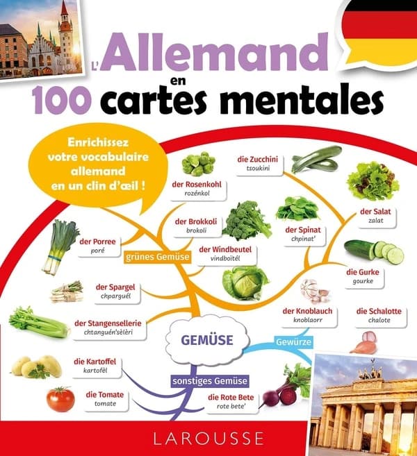 L'allemand en 100 cartes mentales : Enrichissez votre vocabulaire allemand en un clin d'oeil !