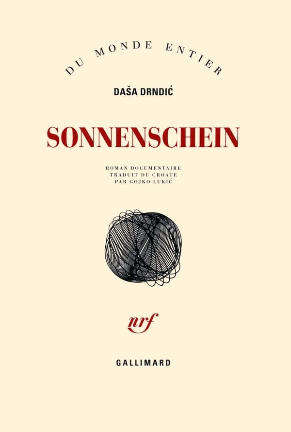 Sonnenschein : roman documentaire