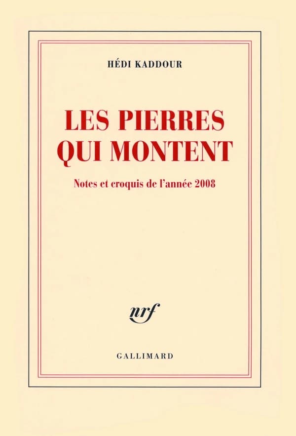 Les pierres qui montent : notes et croquis de l'année 2008 : notes et croquis de l'année 2008