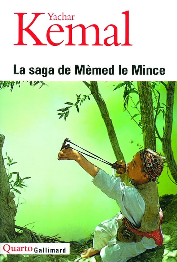 La Saga de Mèmed le Mince