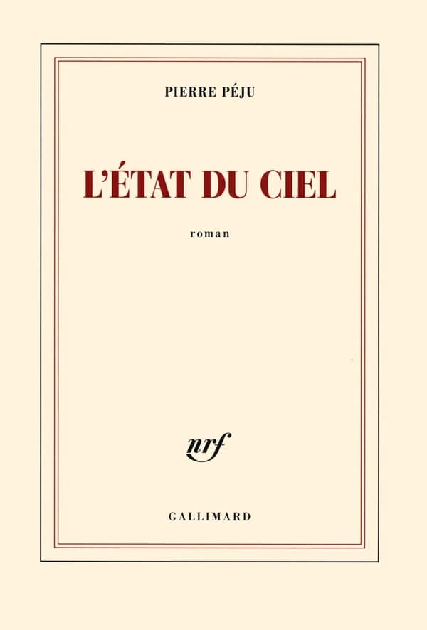 L'état du ciel : roman