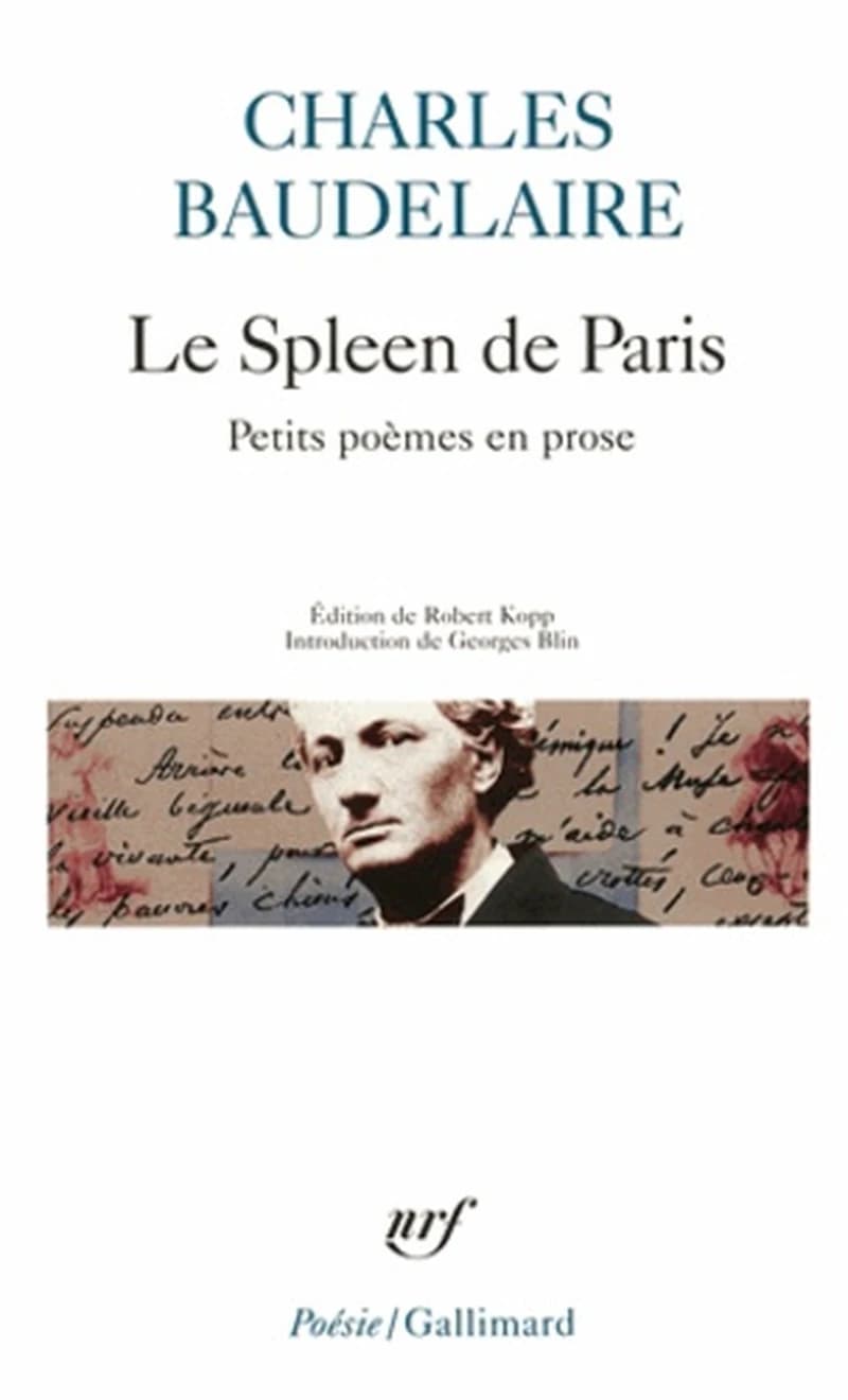 Le spleen de Paris : petits poèmes en prose