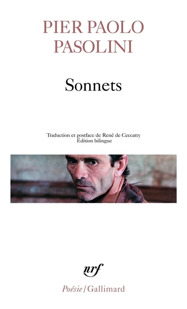 Sonnets (Éd. bilingue) Pier Paolo Pasolini ; traduction et préface de René de Ceccatty