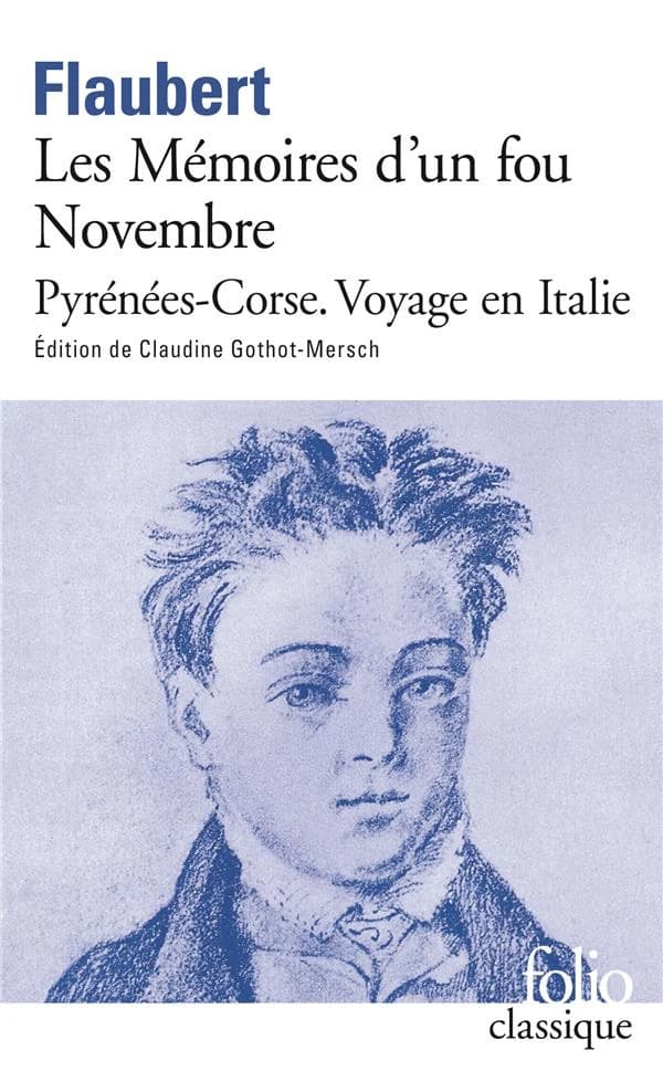 Les mémoires d'un fou