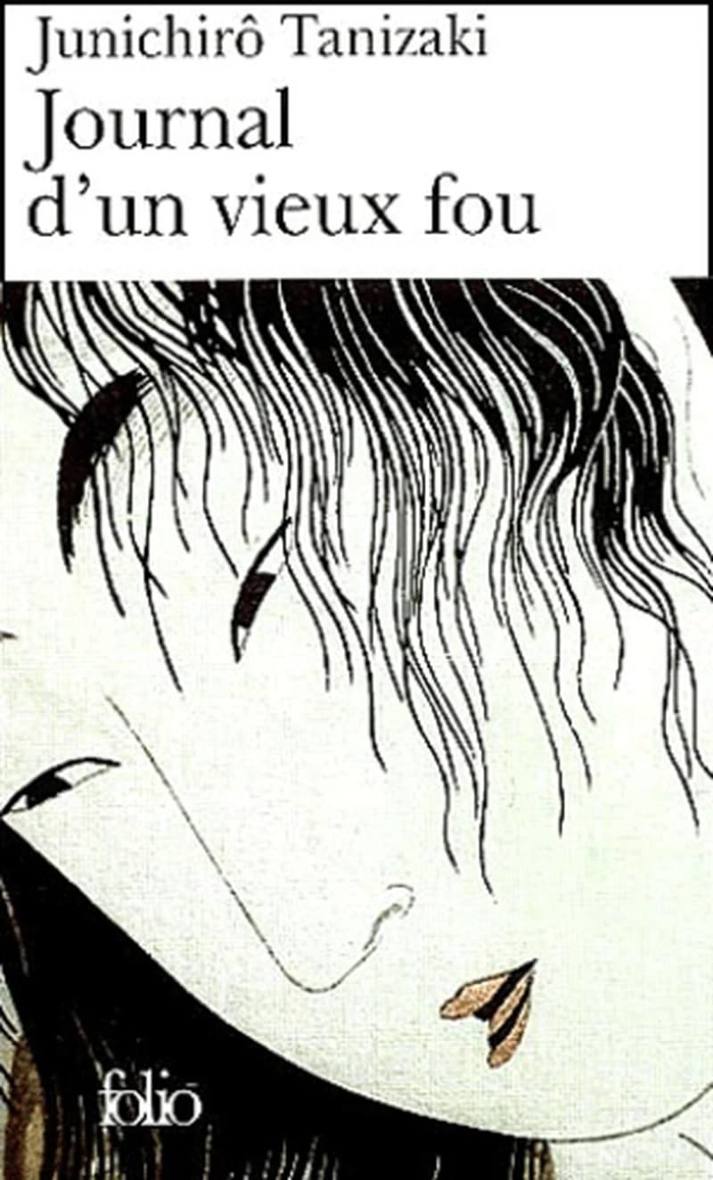 Journal d'un vieux fou