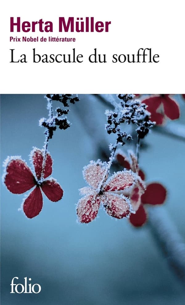 La bascule du souffle : roman