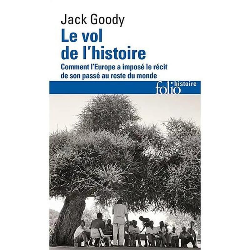 Le vol de l'histoire : comment l'Europe a imposé le récit de son passé au reste du monde
