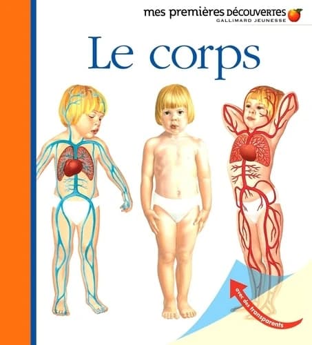 Le corps (Nouv. présentation) Sylvaine Peyrols