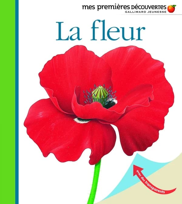 La fleur (Nouv. présentation) illustrations de René Mettler