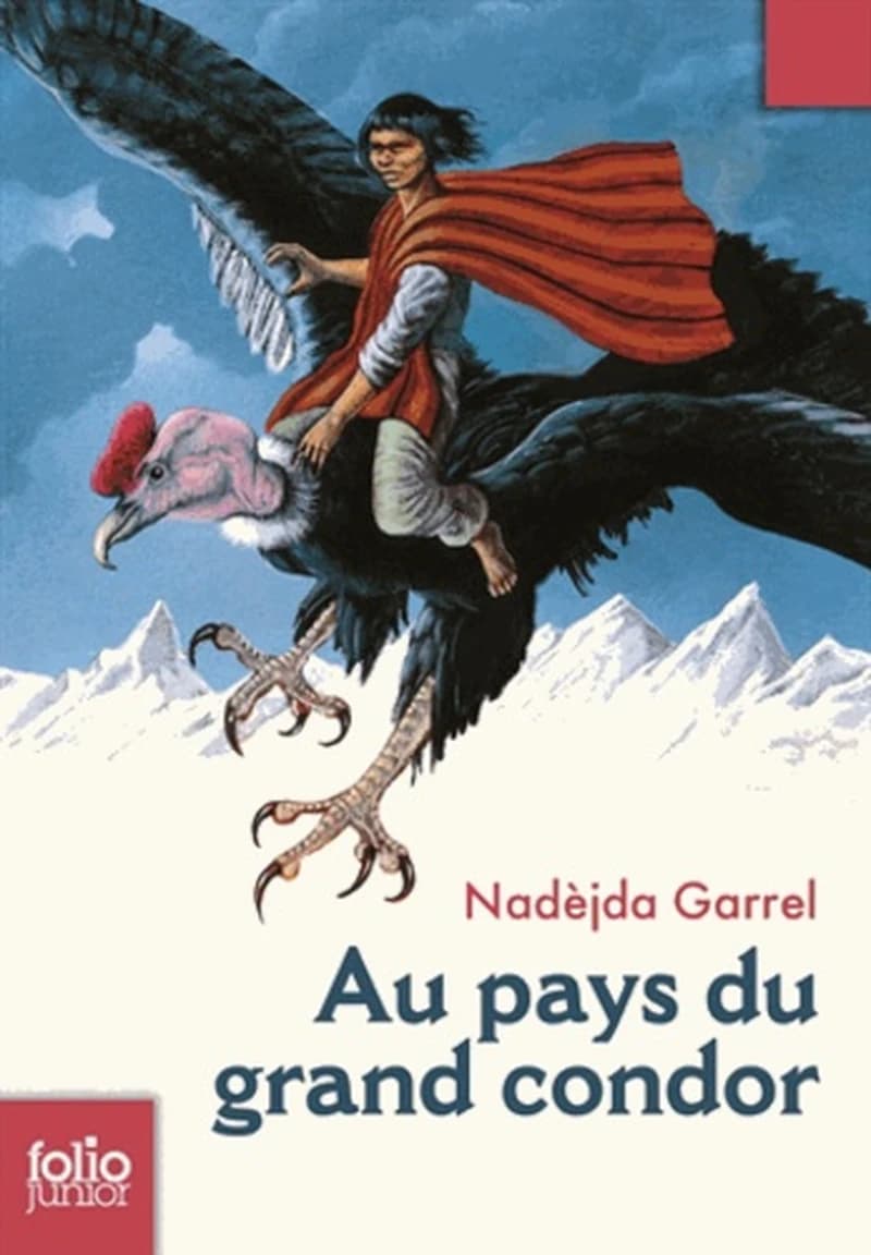 Au pays du grand condor