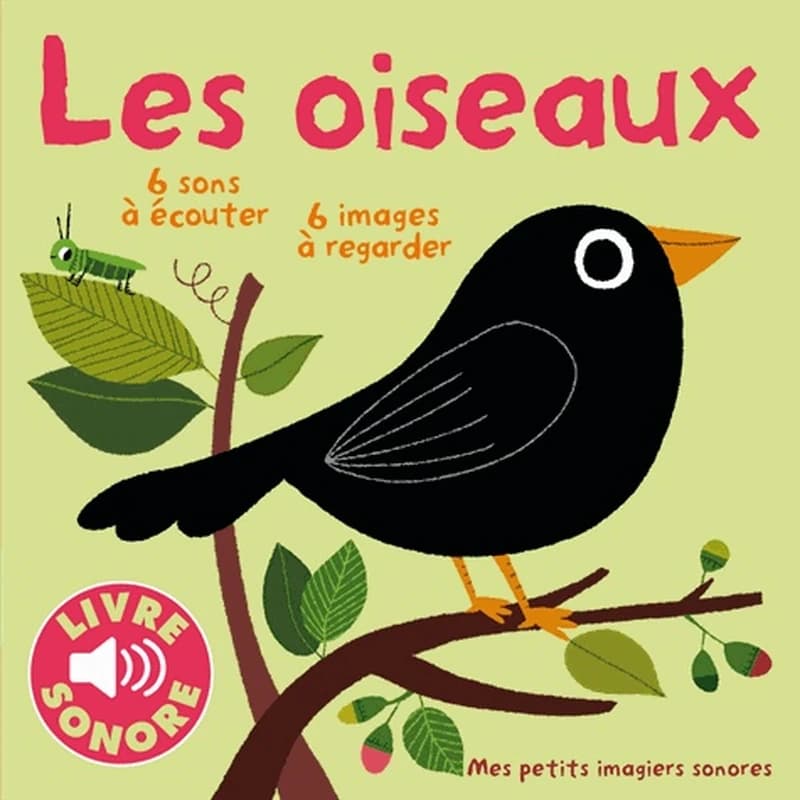 Les oiseaux : 6 sons à écouter, 6 images à regarder