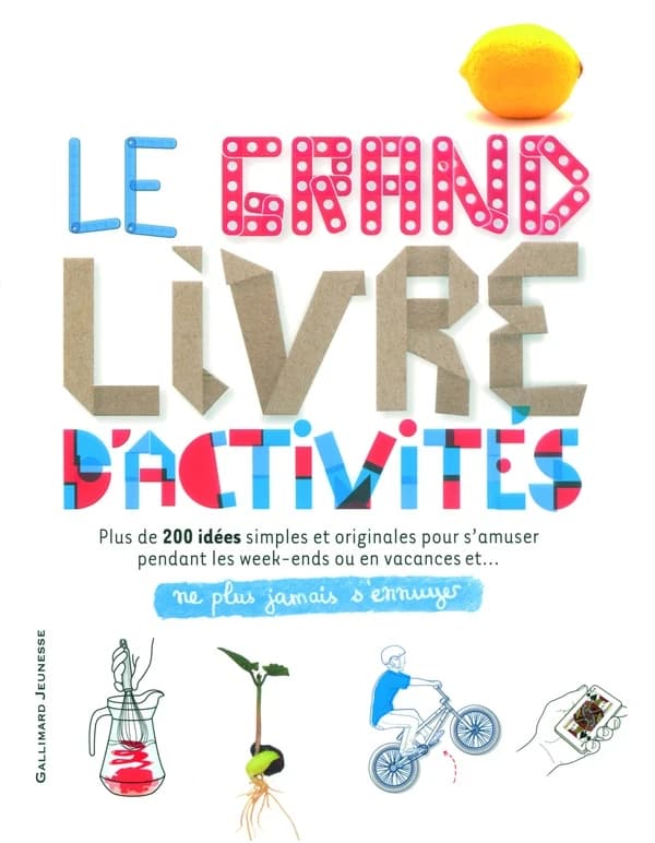 Le grand livre d'activités : ne plus jamais s'ennuyer