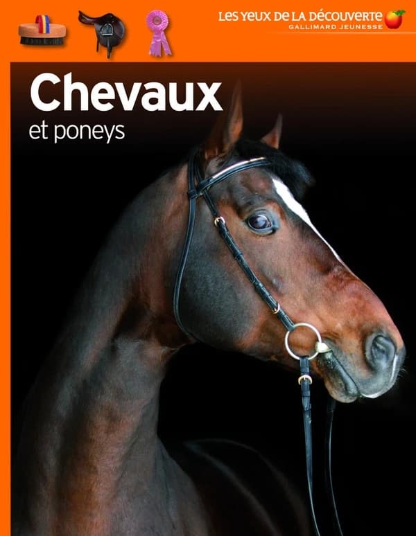 Chevaux et poneys ([Nouvelle éd.]) par Juliet Clutton-Brock ; photographies originales de Jerry Young et Karl Shone ; [traduction de l'anglais par Véronique Dreyfus]