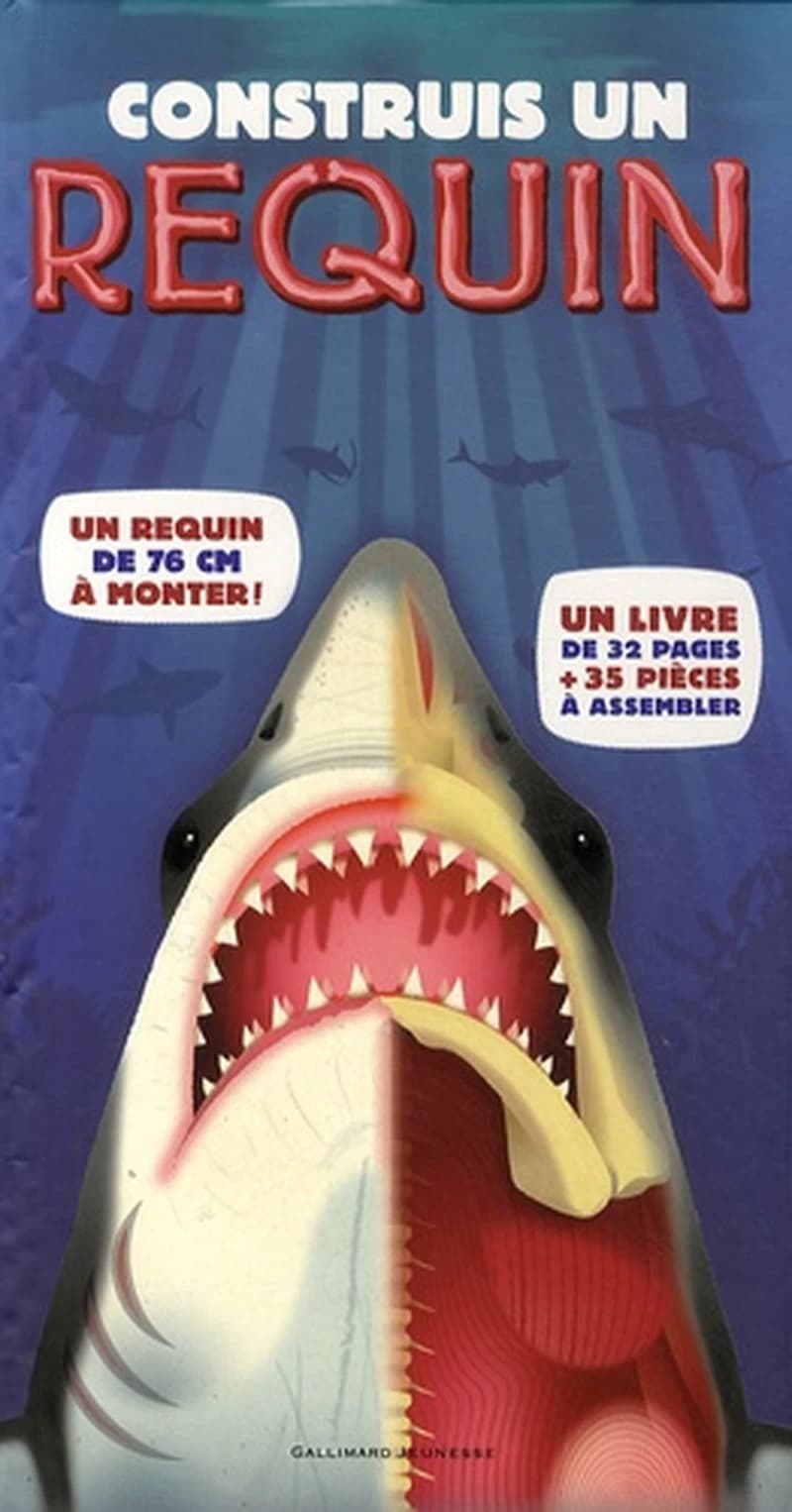 Construis un requin