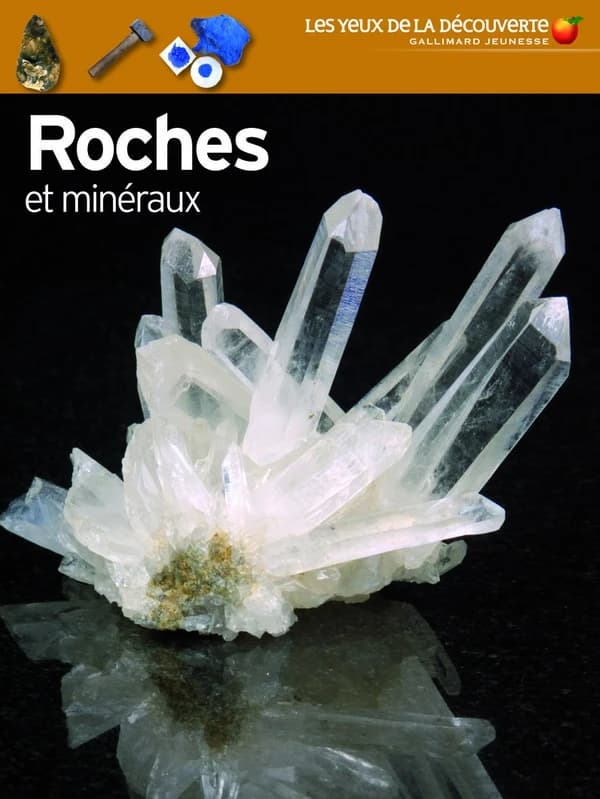 Roches et minéraux (Nouvelle éd.) Dr R. F. Symes ; en association avec le British museum natural history, Londres ; [traduit de l'anglais par Bruno Porlier]