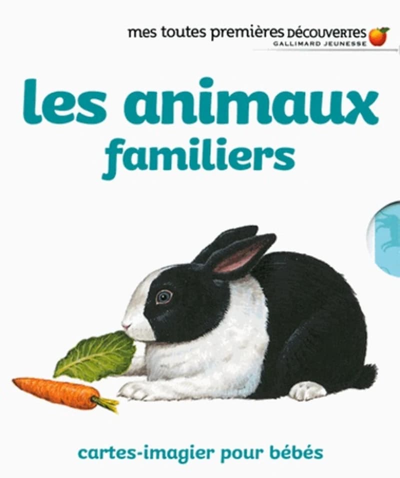 Les animaux familiers : [image didactique]