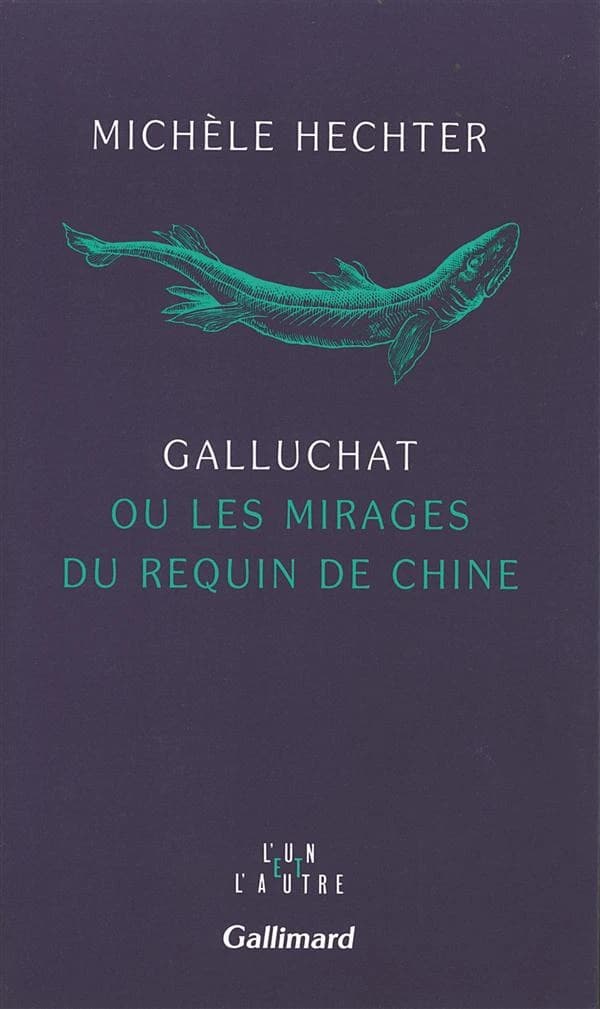 Galluchat, ou, Les mirages du requin de Chine