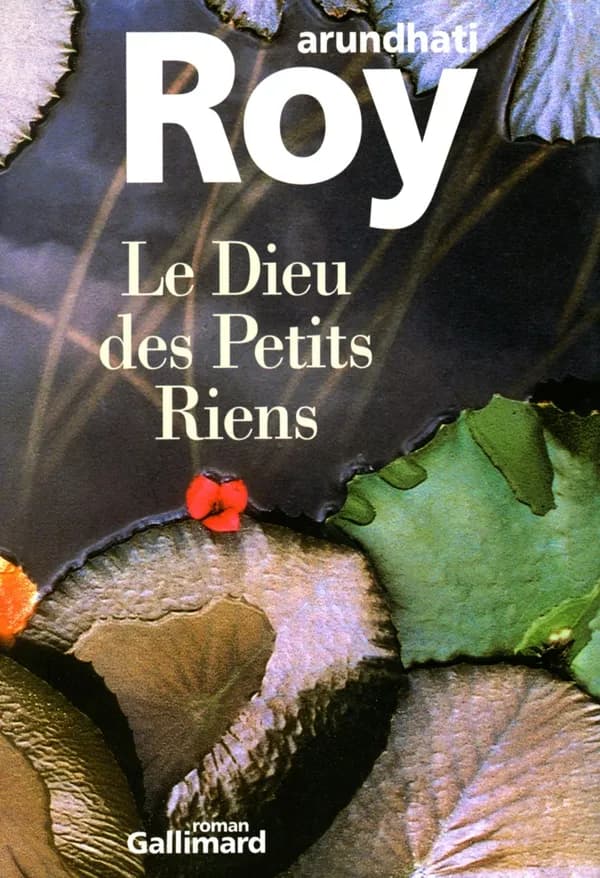 Le dieu des petits riens : roman