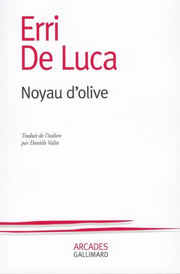 Noyau d'olive