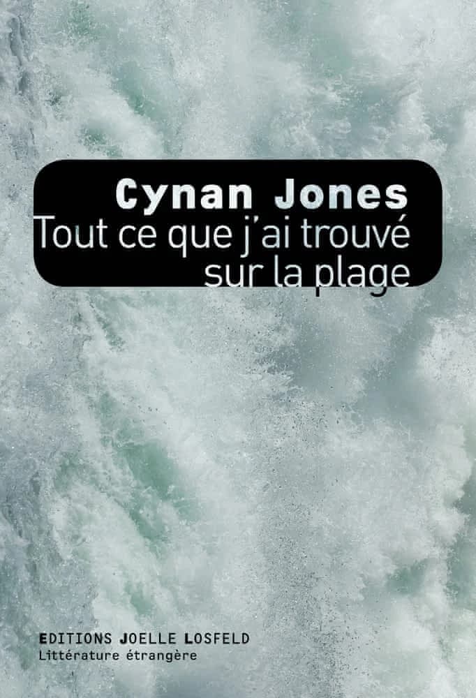 Tout ce que j'ai trouvé sur la plage : roman