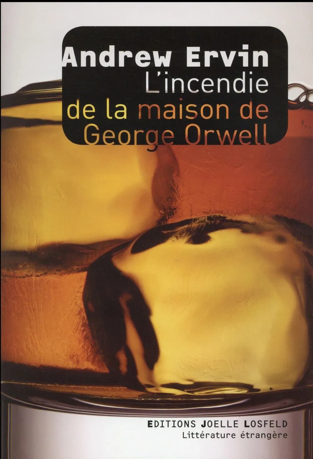 L'incendie de la maison de George Orwell : roman
