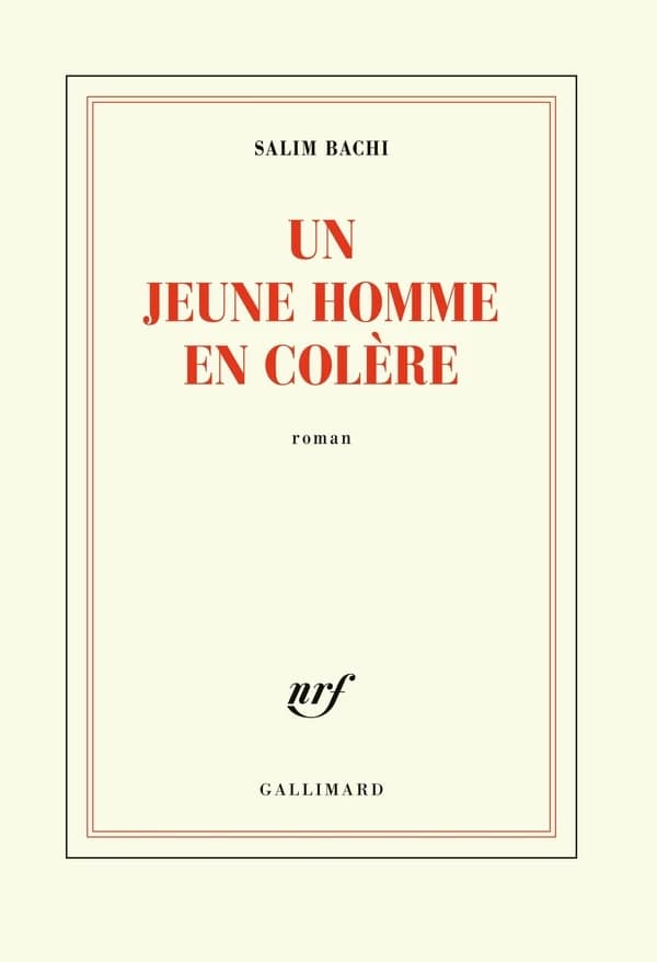 Un jeune homme en colère : roman