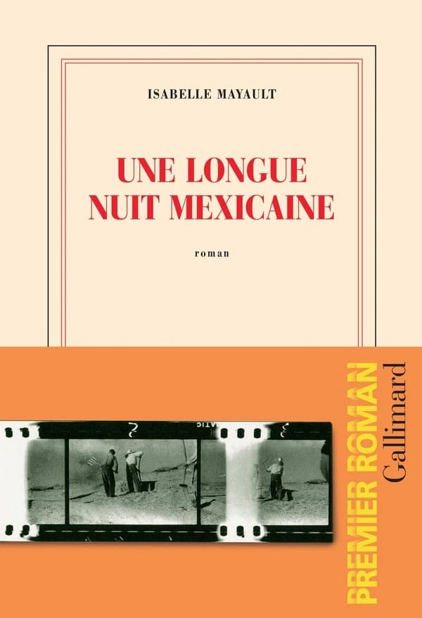 Une longue nuit mexicaine : roman